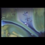 Slipper's Playground detail 6x8 in.jpg